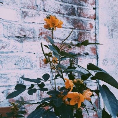 电子mg官方网站